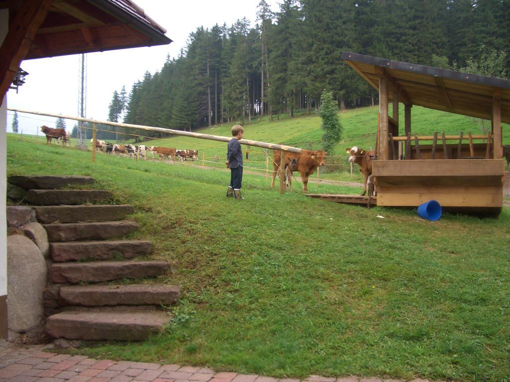 Appartamento Willmannshof Furtwangen Esterno foto
