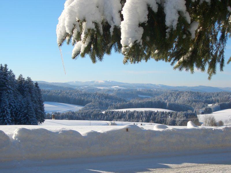 Appartamento Willmannshof Furtwangen Esterno foto